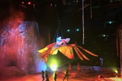 Cirque du Soleil – Toruk
